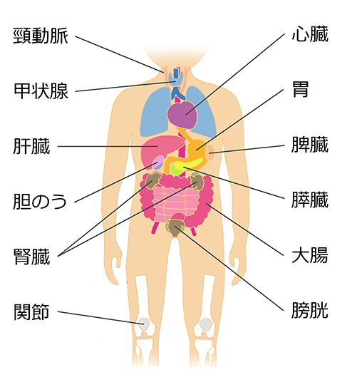 脇　正志Dr．が考える、外来での検査とは