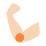 手・腕
