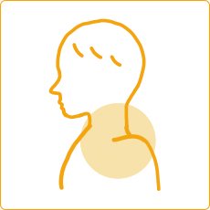 首・肩